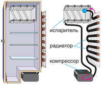 Бытовой холодильник «в разрезе». Основные его детали следующие: испаритель, радиатор, компрессор. Они герметично соединены друг с другом трубкой и заполнены специальным легко сжижающимся газом.